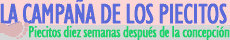 Questo progetto sostiene il diritto alla vita per l'uomo sin dal primo momento del concepimento! - Campaa de los piecitos de nios no natos que marchan. Estos nios an no natos llaman la atencin sobre su derecho de vida y recuerdan el escndalo de millones de abortos en todo el mundo durante un ao.